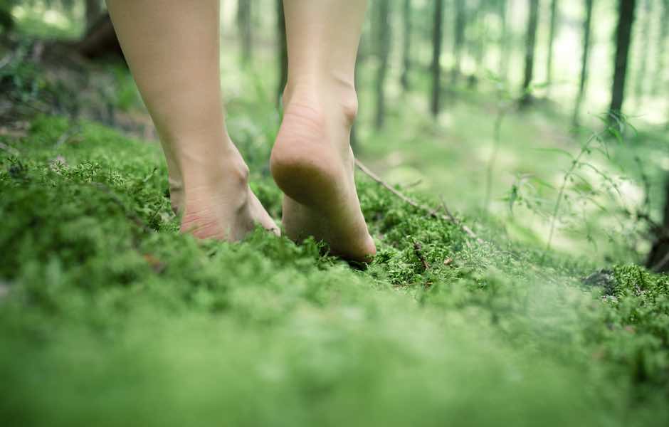 bare feet forest_940_600_low